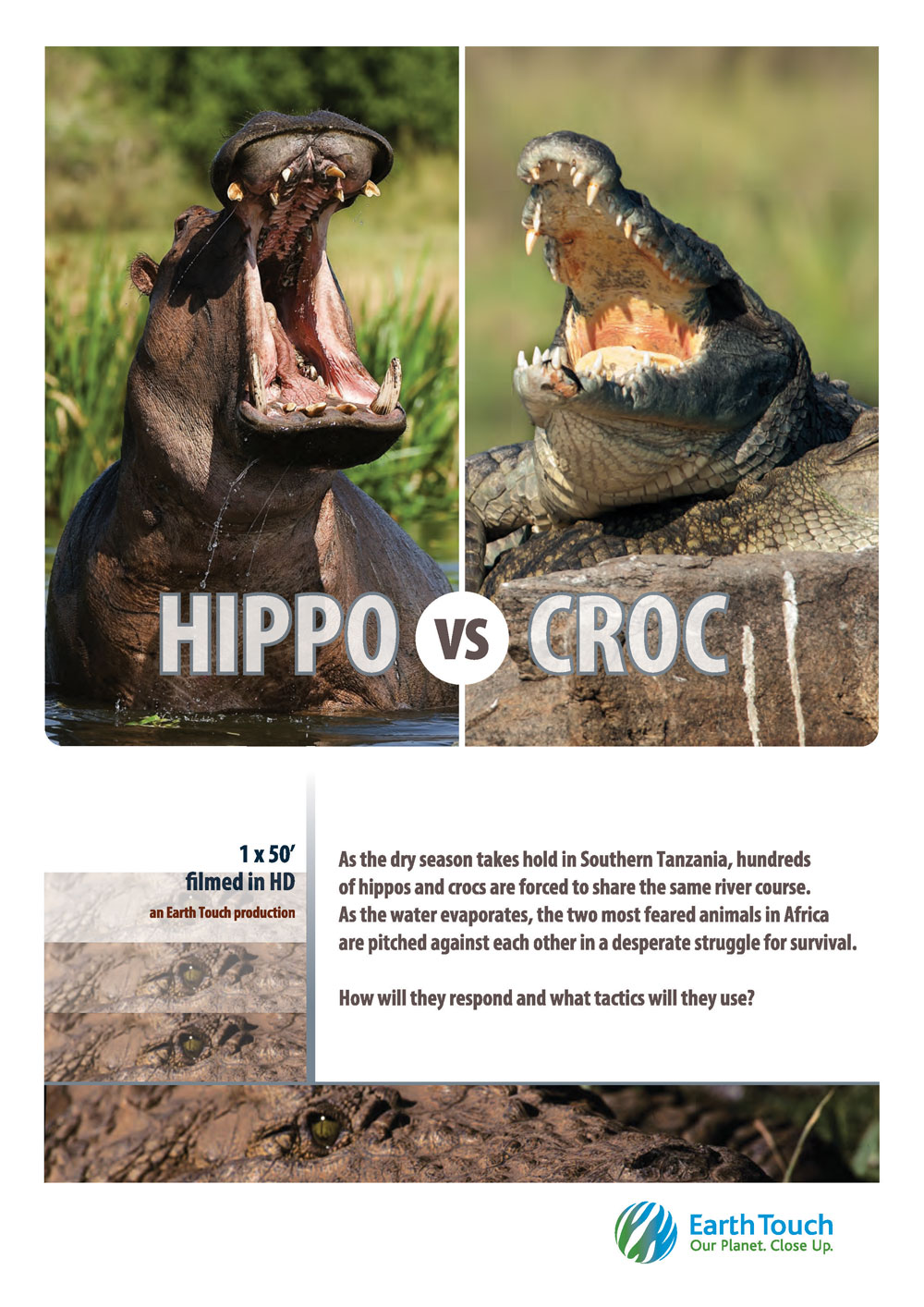 Hippo vs Croc (2014)