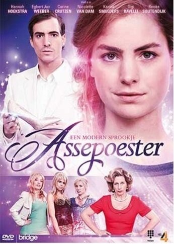 Assepoester: een modern sprookje (2014)